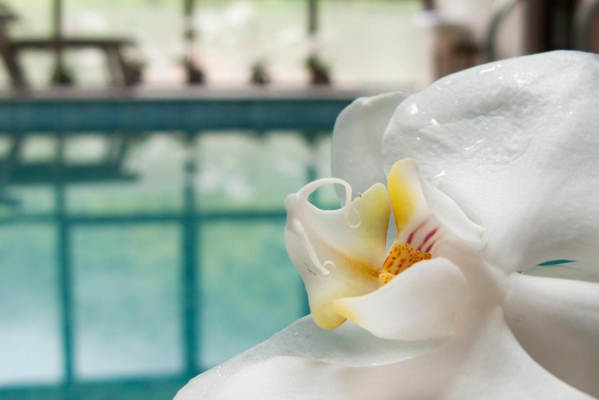 Aqua Varvara Hotel Vetren Dol Εξωτερικό φωτογραφία